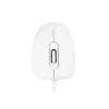 MODECOM M10 M-MC-0M10-200 myš (optická, 1000 DPI, biela farba) (M-MC-0M10-200)