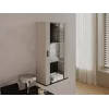 Nástenná skrinka cama meble S2 SOHO 60x29x112 cm — cashmere/čierna