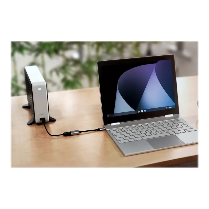 HYPER USB 3.2 Gen 2 (USB 3.1 Gen 2) adaptér [1x USB-C® samec – 1x USB 3.2 Gen 2 samica A (USB 3.1)] (HD425D-GL)