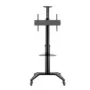 Stojan Hagor BrackIT Single 165,1 cm (65