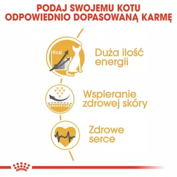 Royal Canin Sphynx Adult suché krmivo pre mačky, 2 kg