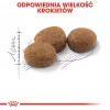 ROYAL CANIN Sterilised 37 - suché krmivo pre mačky - 10 kg