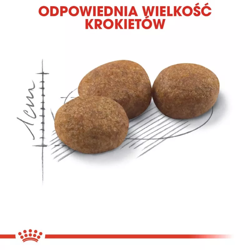 ROYAL CANIN Sterilised 37 - suché krmivo pre mačky - 10 kg