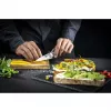 Zwilling TANREI 10 cm nôž na špikovanie a zdobenie