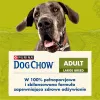 Purina DOG CHOW Large Breed Adult 14 kg moriak