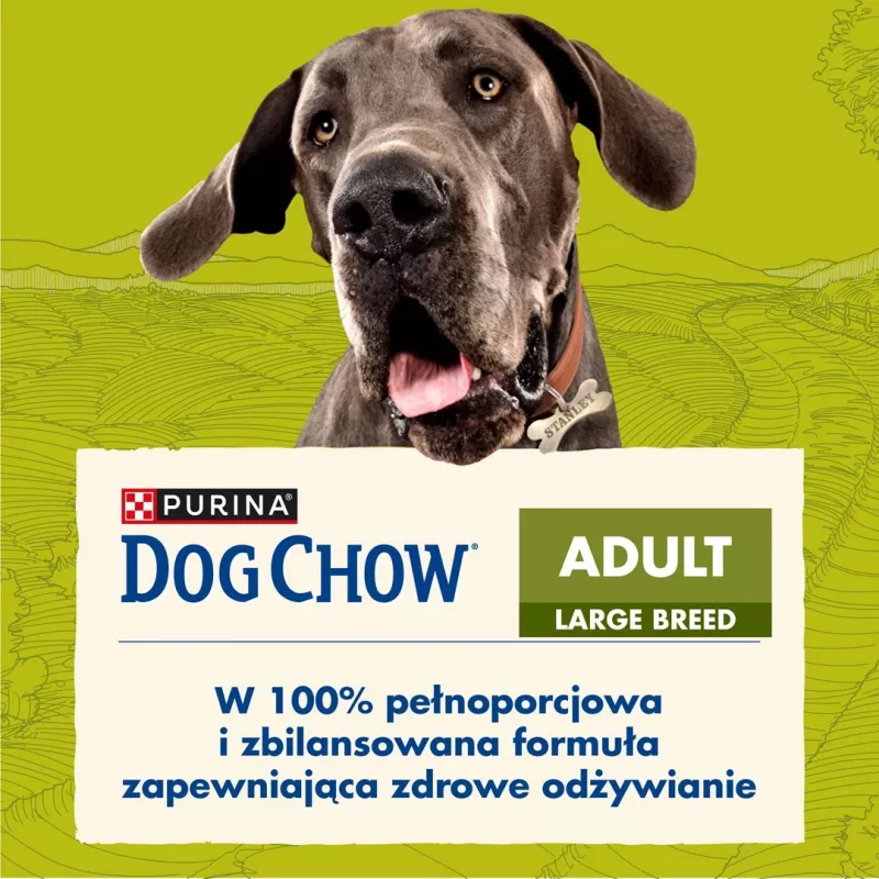 Purina DOG CHOW Large Breed Adult 14 kg moriak