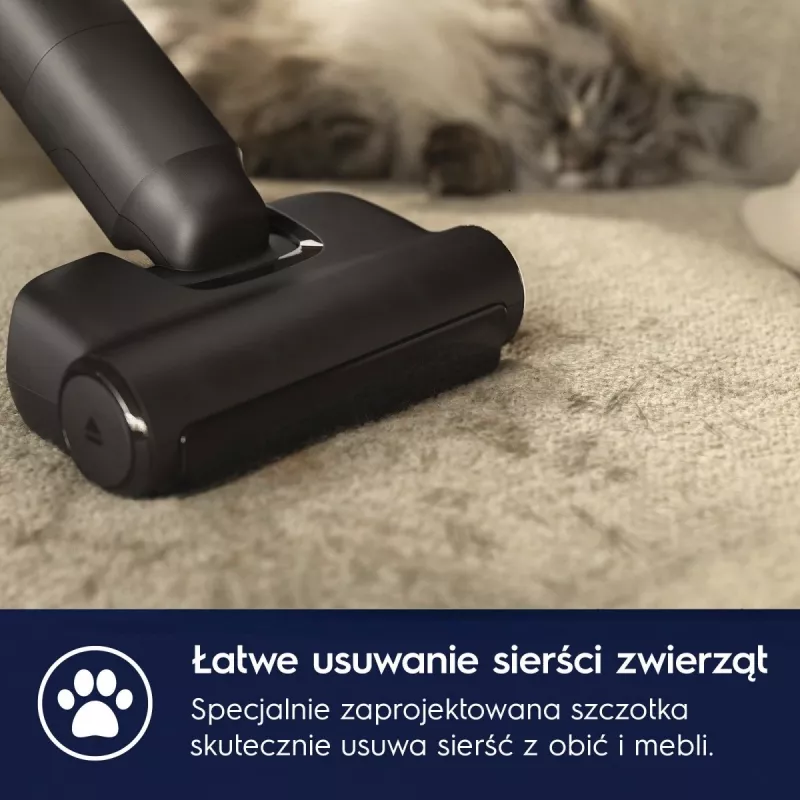 Electrolux EP82AB25UG tyčový vysávač/elektrická metla akumulátor suchý cyklónový bezvreckový 0,4 l 100 W sivá