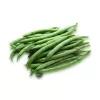 Nomad Green Dwarf fazuľové semená, 50g - zeleninové semená
