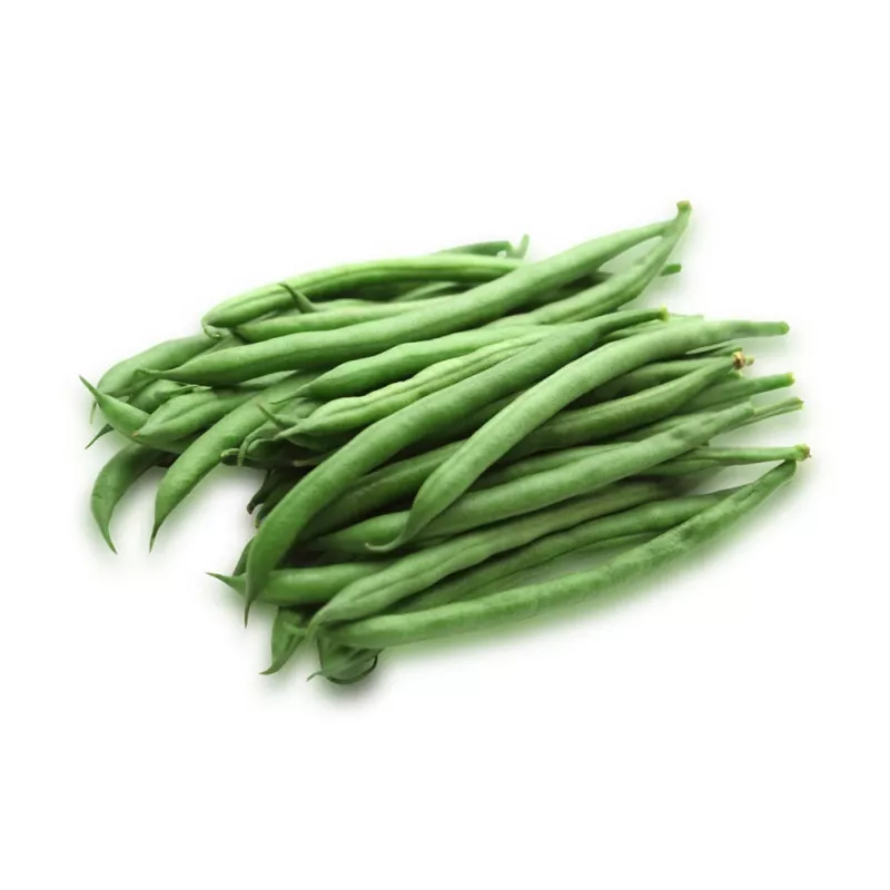 Nomad Green Dwarf fazuľové semená, 50g - zeleninové semená