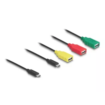 DeLOCK 4-portový USB 2.0 káblový hub USB Type-C na 3 x USB-A konektor samica + 1 x USB-C konektor samec