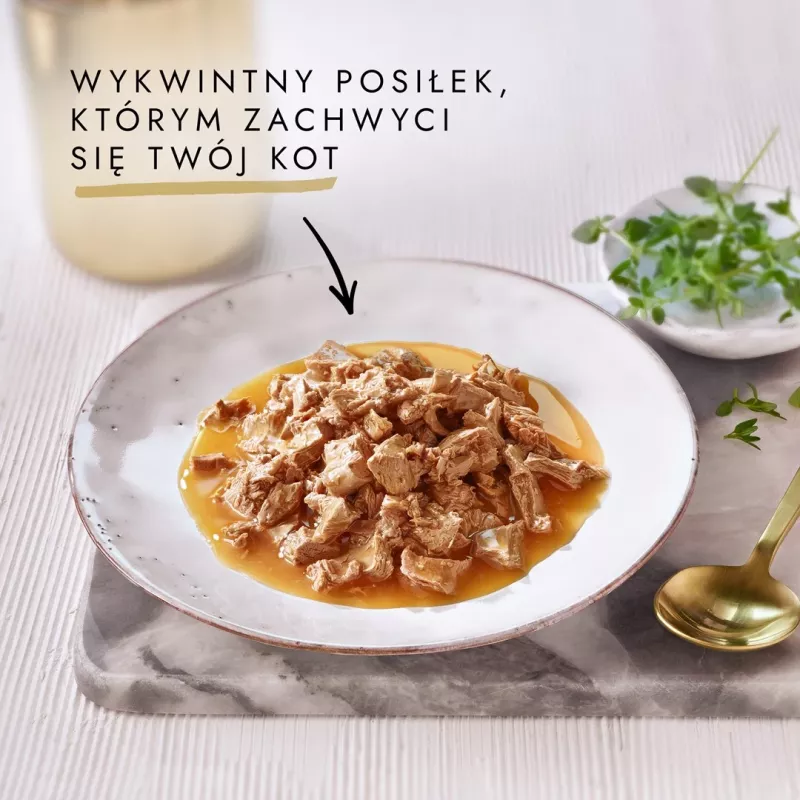 GOURMET GOLD Sauce Delights kura 85g