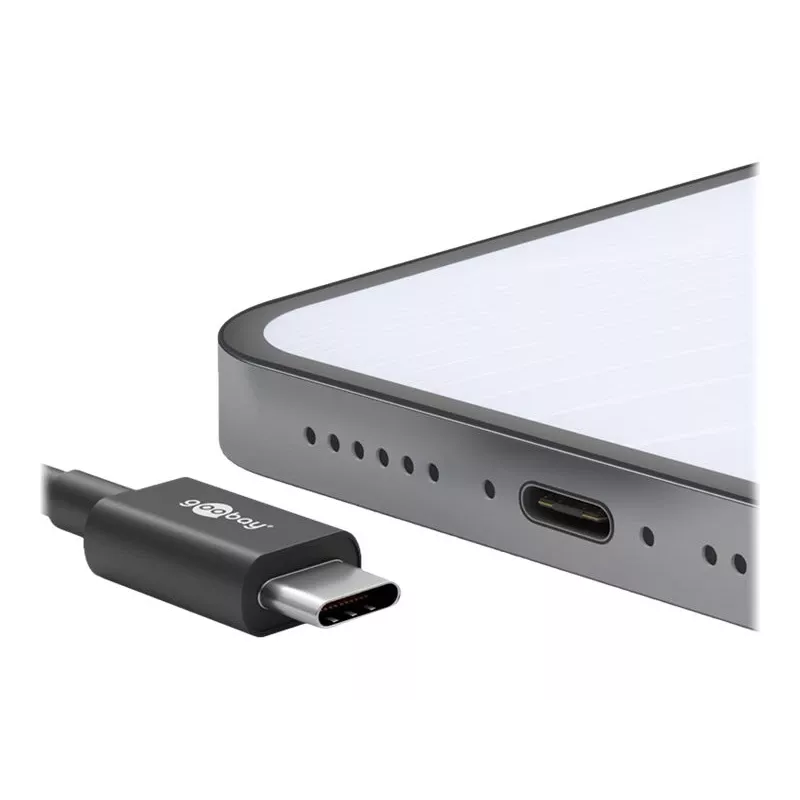 Wentronic goobay - USB kábel - USB-C (M) na USB-C (M) - USB 2.0 3 A - 0,5 m - čierny (66316)