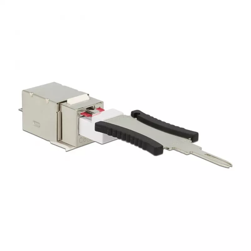 Delock 86404 modul Keystone RJ45 Secure Cat.6 na LSA, biely
