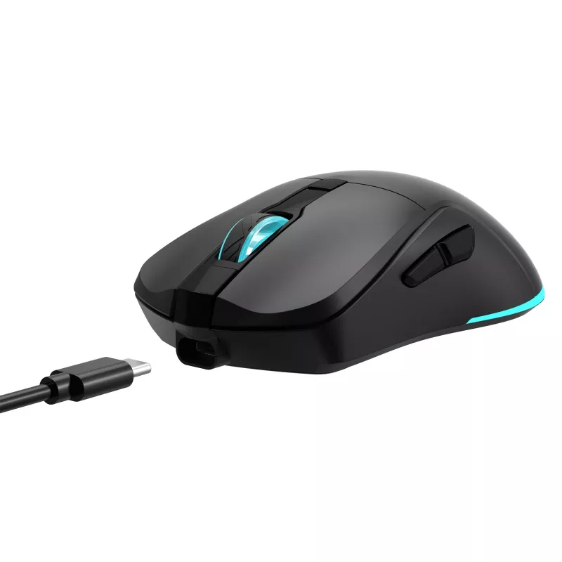Myš Baracuda BGM-121 Turtle čierna USB