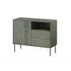 1D2S komoda TRESSE 100x40x75 matná zelená