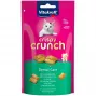 Mačacia pochúťka na zubnú hygienu Vitakraft Crispy Crunch Dental 60 g — chrumkavá zubná pochúťka pre mačky