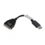 Lenovo 43N9160 DVI-D DisplayPort čierna