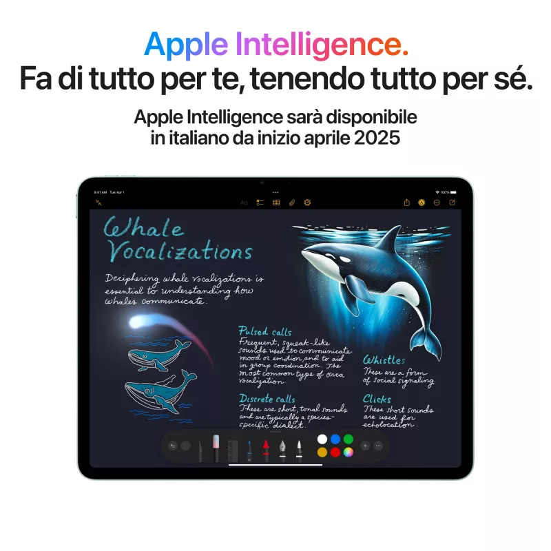 Apple iPad 13