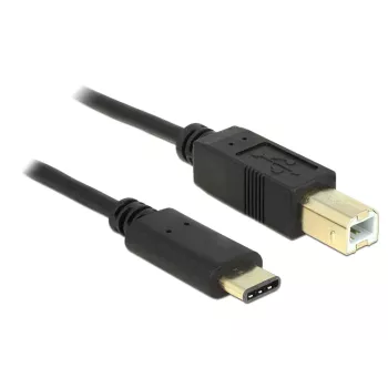 USB kábel DeLOCK 2 m USB2.0-C/USB2.0-B
