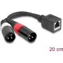 DeLOCK audiokábel 0,2 m RJ-45 2 x XLR (3-polový) čierny 88179