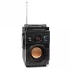 Squeak Bassblaster Bluetooth 5.1 reproduktor, FM rádio, MP3 prehrávač SQ1001