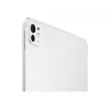 Apple 11