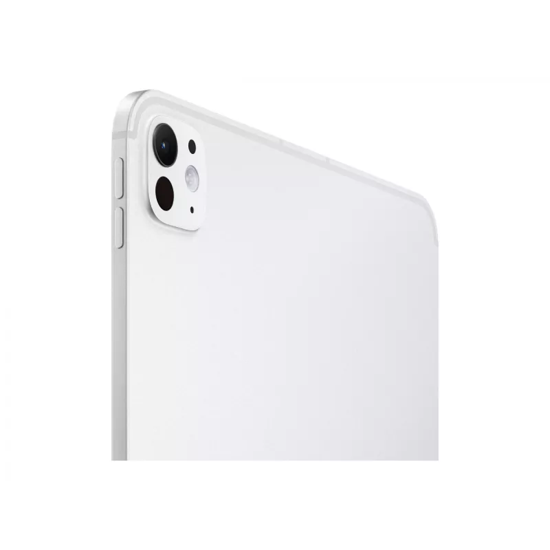 Apple 11