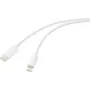 Renkforce USB kábel USB 2.0 USB-C konektor samec Apple Lightning konektor samec biely (RF-6857550)