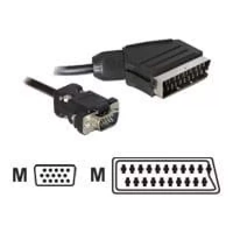 Videokábel adaptér DeLOCK 65028 SCART (21-pol) na VGA (D-Sub) 2 m