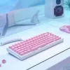 Glorious PC Gaming Race GMMK ABS Doubleshot V2 UK základná sada - ružová (GLO-KC-ABS-UKKIT-P)