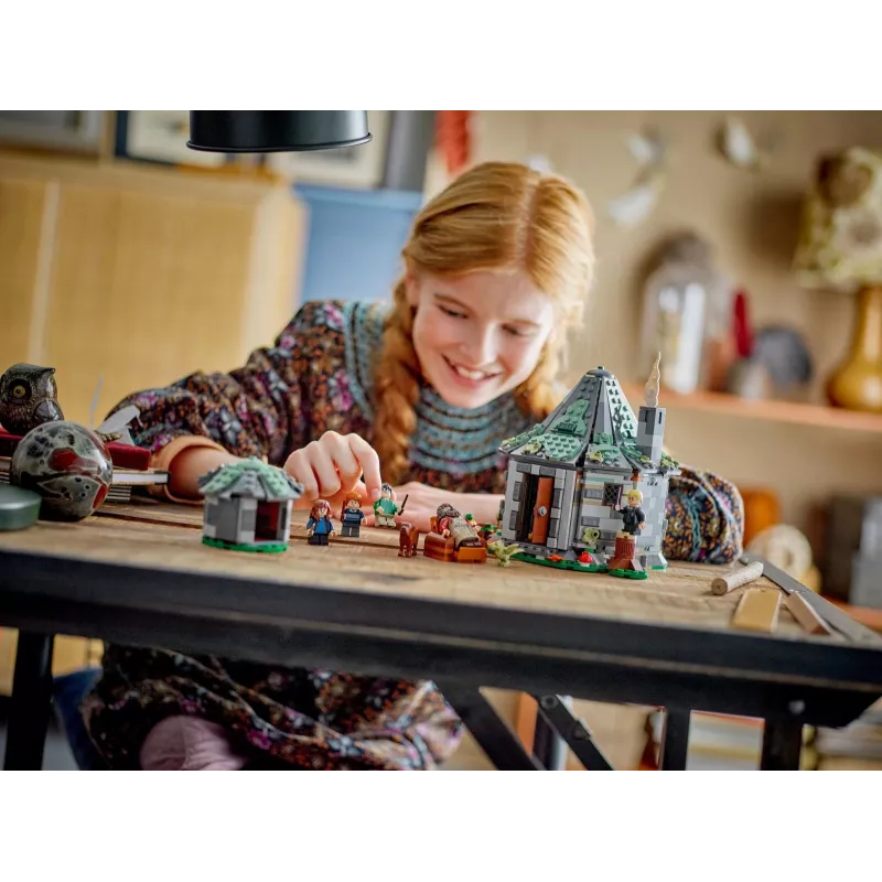LEGO HARRY POTTER 76428 Hagridova chata – Nečakaná návšteva