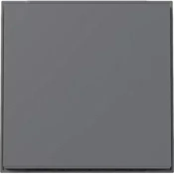 GIRA 329667 Wippe Gira TX_44 (WG UP) antracit