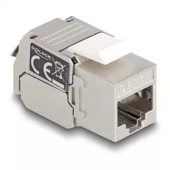 DeLOCK Keystone modul RJ45 konektor samica na LSA Kat.6A s LED strieborno-biela