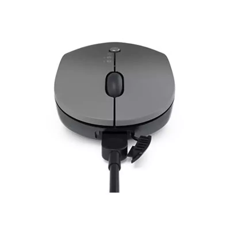Lenovo Go Wireless Multi-Device myš Office obojručná RF Wireless + Bluetooth + USB Type-A optická 2400 DPI