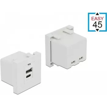 Zásuvka USB A + USB C DeLOCK 81313