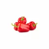 PNOS paprika Ozarowska obalené semená, balenie 50 ks