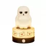BlueSkyStudios Harry Potter - mini lampa USB-C (stmievateľná)