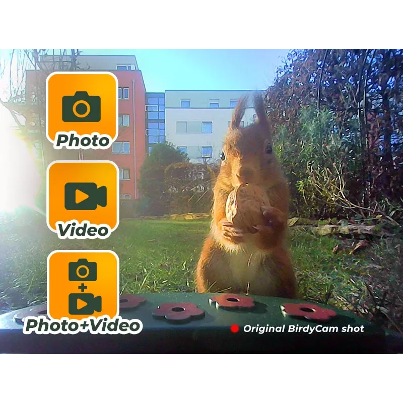 EASYPIX Bird Camera Easypix Bird Cam 10123 1080p HD nočné videnie