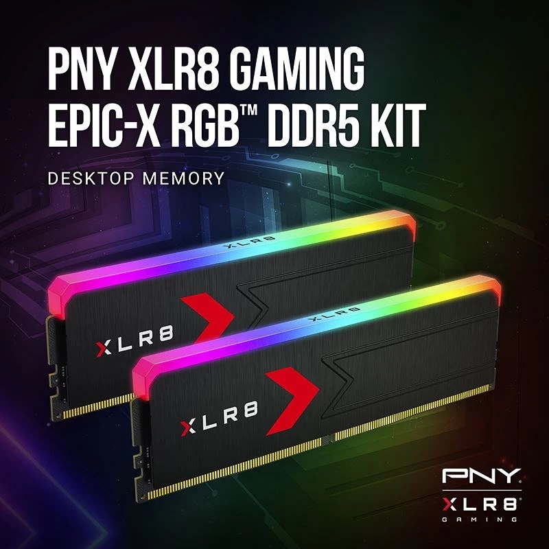 Pamäť PNY DDR5 32GB 5600 BULK