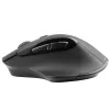 Myš Tracer Cozy pravá ruka RF Wireless optická 1600 DPI