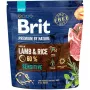 BRIT Premium by Nature Sensitive Lamb & Rice suché krmivo pre psov 1 kg