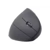 Gembird MUSW-ERGO-01 myš pre pravákov RF bezdrôtová optická 1600 DPI