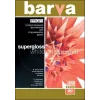 Fotopapier Farba Profi Super Glossy 255 g/m² A3 20 listov