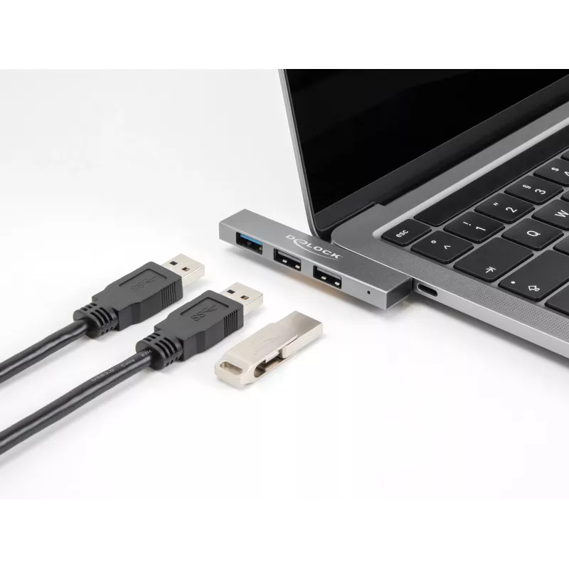 DeLOCK 3 port tenký USB hub USB Type-C 10 Gbps 2 x USB 2.0