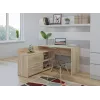 Topeshop DANY SONOMA KPL počítačový stôl dubová farba