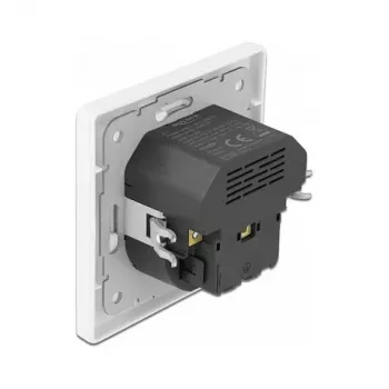 DeLOCK 11489 zásuvka CEE 7/3 + USB biela 250V 16A