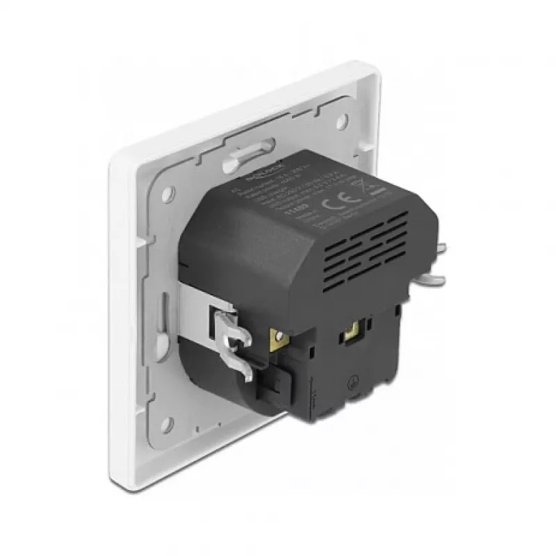 DeLOCK 11489 zásuvka CEE 7/3 + USB biela 250V 16A