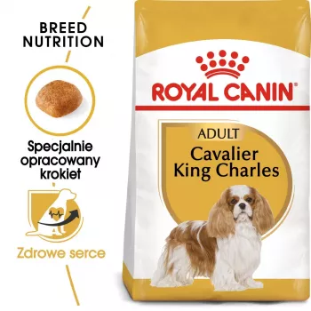 Suché krmivo pre psy Royal Canin Cavalier King Charles Adult 1,5 kg — kura, malé plemeno, koža a srsť, podpora srdca