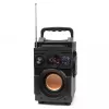 Squeak Bassblaster Bluetooth 5.1 reproduktor, FM rádio, MP3 prehrávač SQ1001