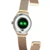 Smartwatch MaxCom FW42 GOLD zlatá